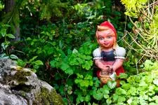 Myths and fables about healthy food, sugar, meat...